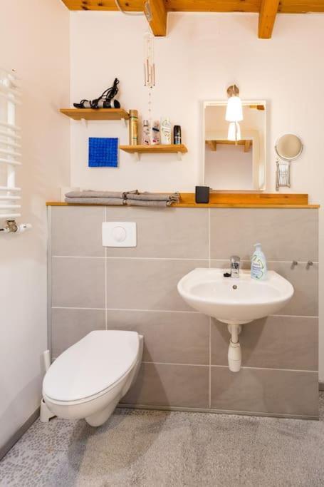 Apartment Wilhelmstr Fuer Bis Zu 3 Personen Брюль Экстерьер фото